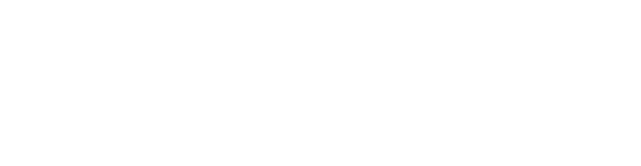 Image: EVERSENSE LOGO WHITE